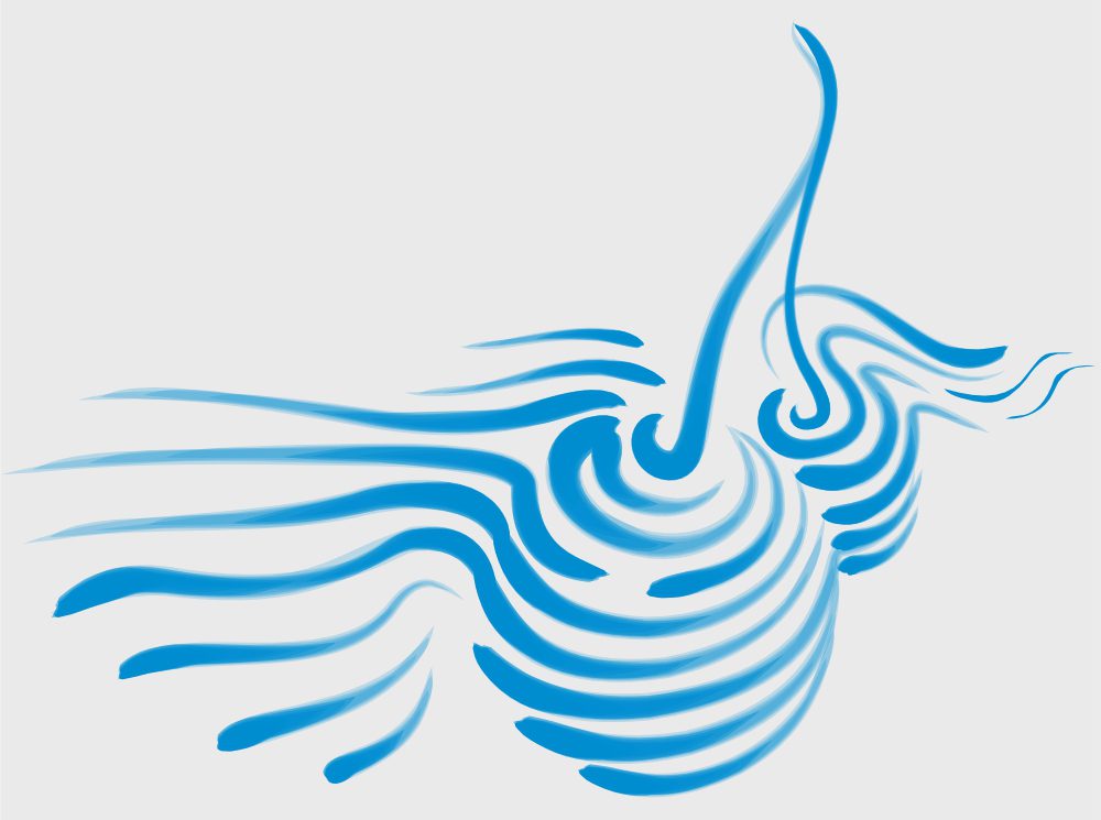 Símbolo do Município de Resende, a "Cereja do Douro", em Portugal | Design de marca e Identidade Visual assinado pela Brandium