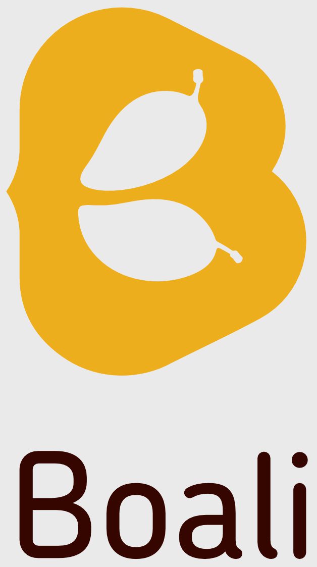 Link to Boali brand design case