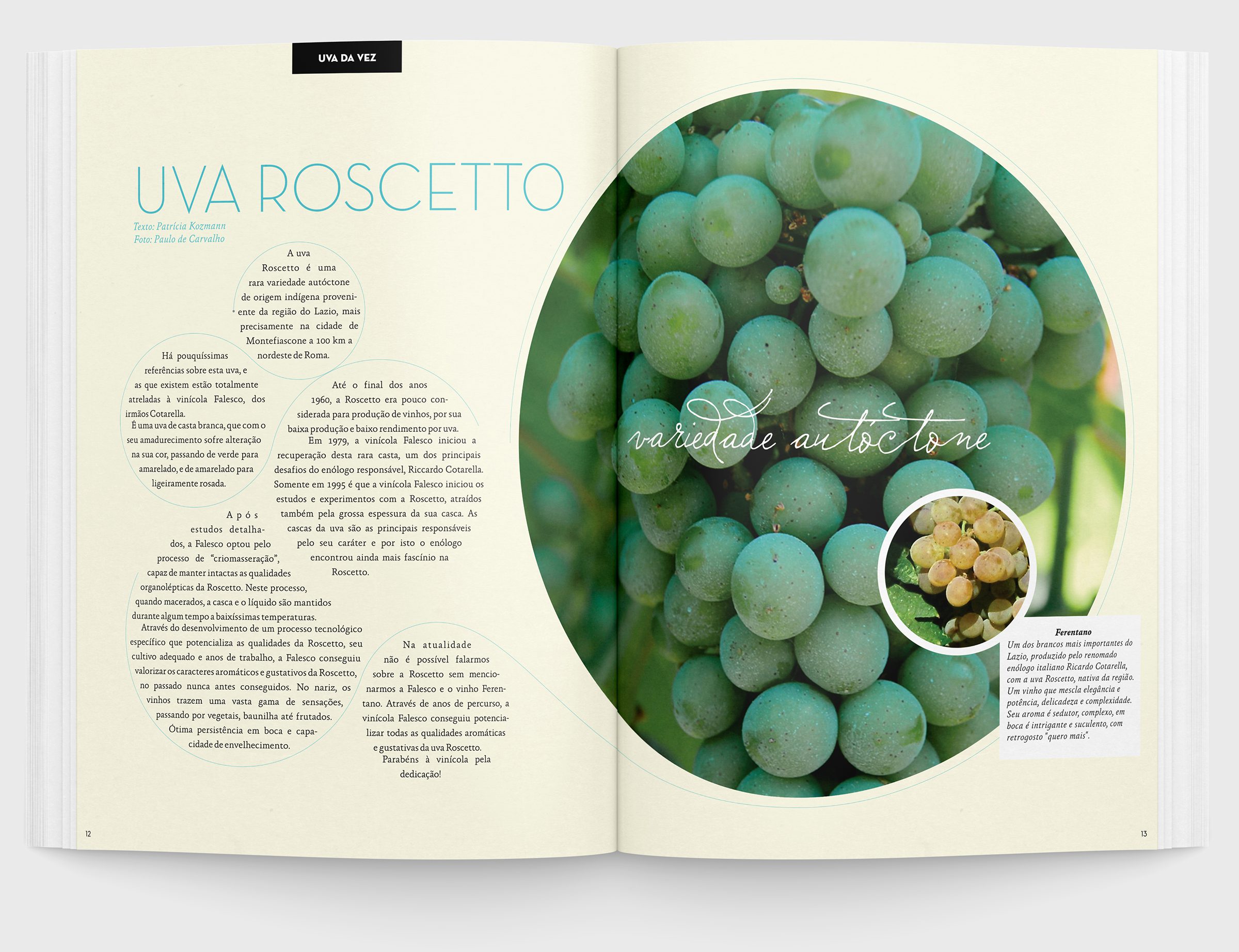 Página Dupla da seção "Uva da Vez" da Revista "Wine Not?" criada pela Brandium no âmbito do projeto de Identidade Visual
