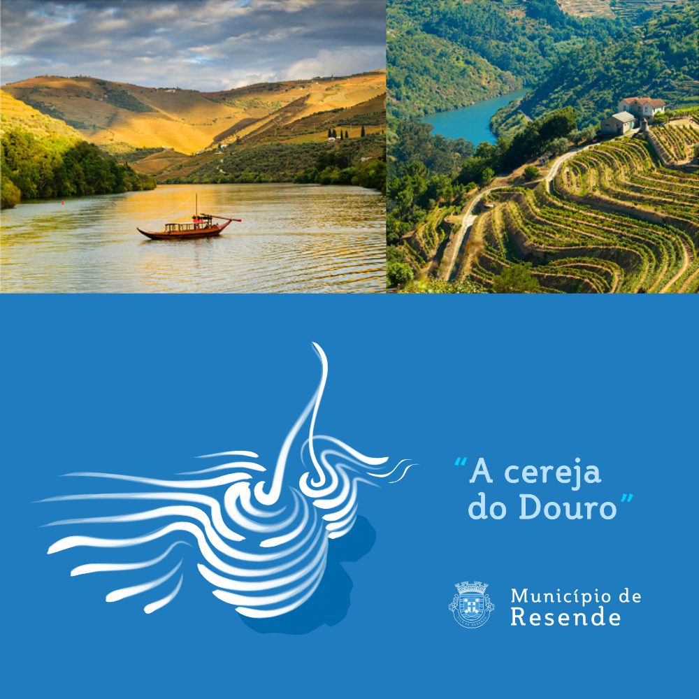 Marca do Município de Resende, a "Cereja do Douro" em Portugal | Design de marca e Identidade Visual assinado pela Brandium