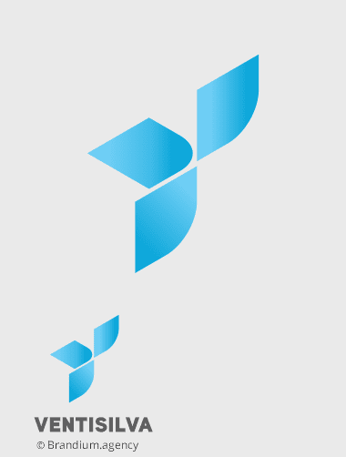 Design da marca Ventisilva criado pela Brandium