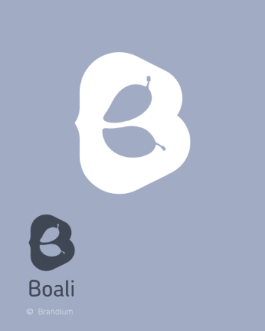 Boali logo developed as part of a naming, brand design, and visual identity project