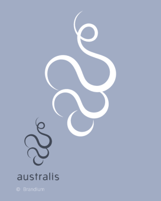 Design da marca Australis desenvolvido no projeto de design de marca e identidade visual