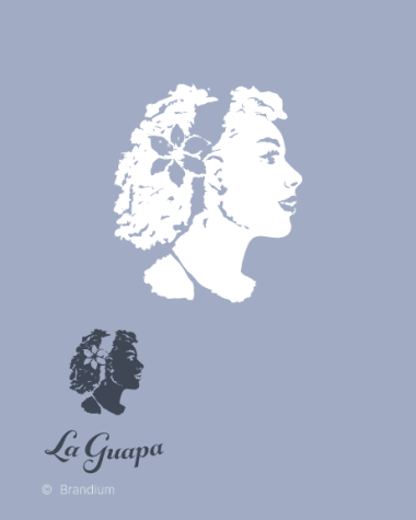 Marca da La Guapa Empanadas, design de marca, identidade visual e design gráfico