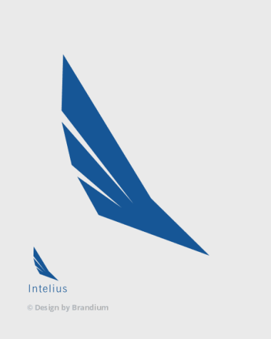 Naming e Logo da marca Intelius