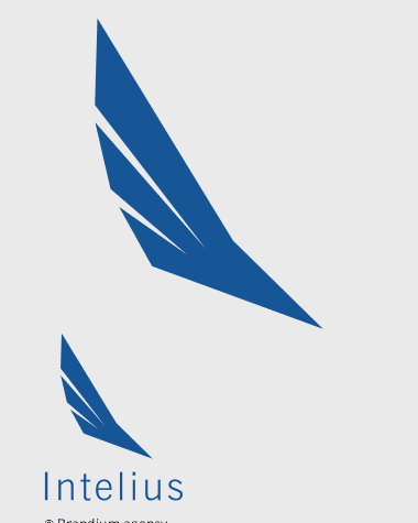 Naming e Design da marca Intelius criado pela  Brandium