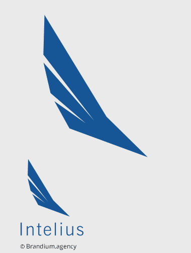 Naming e Design da marca Intelius criado pela  Brandium