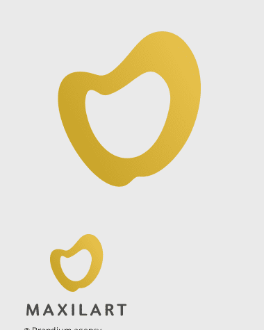 Naming e Design da marca Maxilart criado pela Brandium
